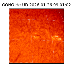 gong - 2026-01-26T09:01:02