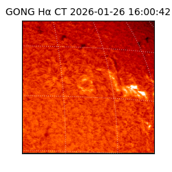 gong - 2026-01-26T16:00:42