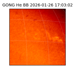 gong - 2026-01-26T17:03:02