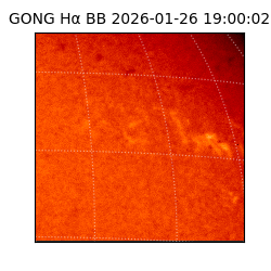 gong - 2026-01-26T19:00:02