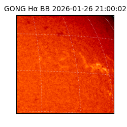 gong - 2026-01-26T21:00:02