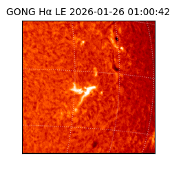 gong - 2026-01-26T01:00:42