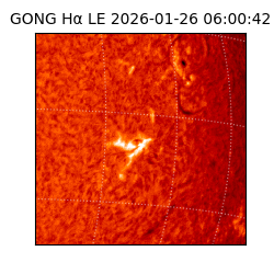gong - 2026-01-26T06:00:42
