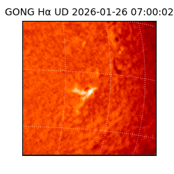 gong - 2026-01-26T07:00:02