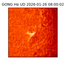 gong - 2026-01-26T08:00:02