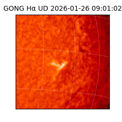 gong - 2026-01-26T09:01:02