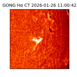 gong - 2026-01-26T11:00:42