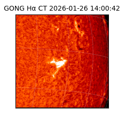 gong - 2026-01-26T14:00:42