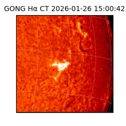 gong - 2026-01-26T15:00:42