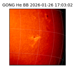 gong - 2026-01-26T17:03:02