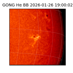 gong - 2026-01-26T19:00:02