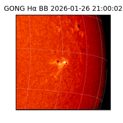 gong - 2026-01-26T21:00:02