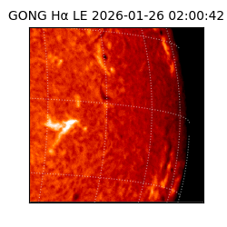 gong - 2026-01-26T02:00:42