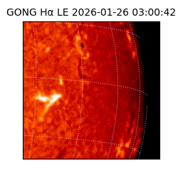 gong - 2026-01-26T03:00:42