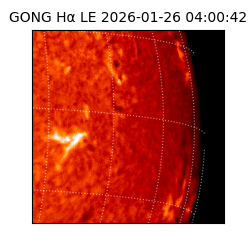 gong - 2026-01-26T04:00:42