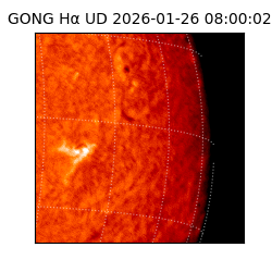 gong - 2026-01-26T08:00:02