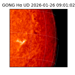 gong - 2026-01-26T09:01:02