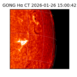 gong - 2026-01-26T15:00:42