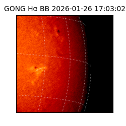 gong - 2026-01-26T17:03:02