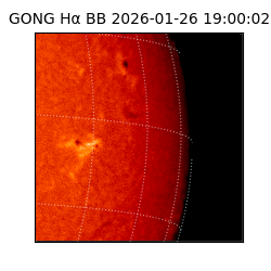 gong - 2026-01-26T19:00:02