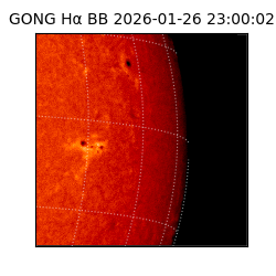 gong - 2026-01-26T23:00:02