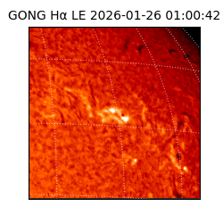 gong - 2026-01-26T01:00:42