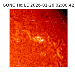 gong - 2026-01-26T02:00:42