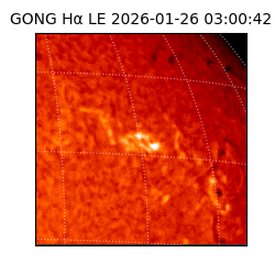gong - 2026-01-26T03:00:42