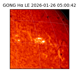 gong - 2026-01-26T05:00:42