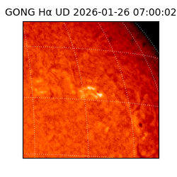 gong - 2026-01-26T07:00:02