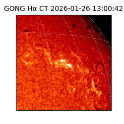 gong - 2026-01-26T13:00:42
