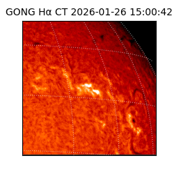 gong - 2026-01-26T15:00:42