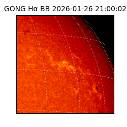 gong - 2026-01-26T21:00:02