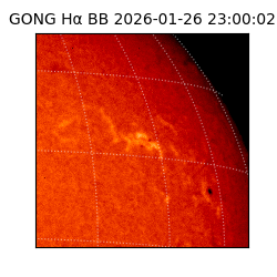 gong - 2026-01-26T23:00:02