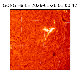 gong - 2026-01-26T01:00:42
