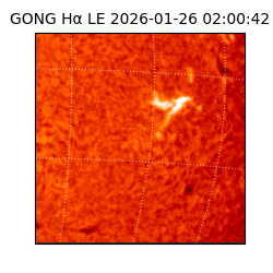gong - 2026-01-26T02:00:42
