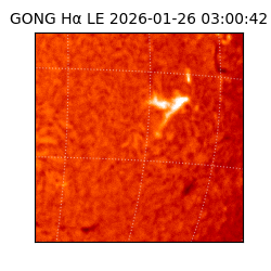 gong - 2026-01-26T03:00:42