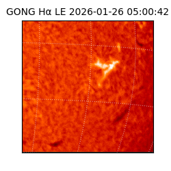 gong - 2026-01-26T05:00:42