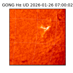 gong - 2026-01-26T07:00:02