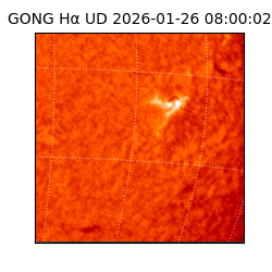 gong - 2026-01-26T08:00:02