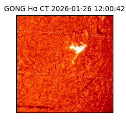 gong - 2026-01-26T12:00:42