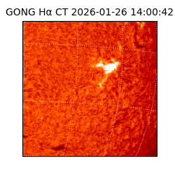 gong - 2026-01-26T14:00:42