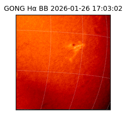 gong - 2026-01-26T17:03:02