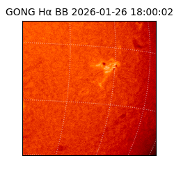 gong - 2026-01-26T18:00:02