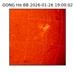 gong - 2026-01-26T19:00:02
