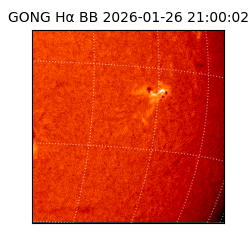 gong - 2026-01-26T21:00:02