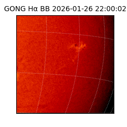 gong - 2026-01-26T22:00:02
