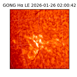 gong - 2026-01-26T02:00:42