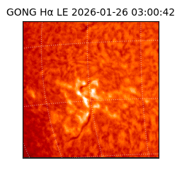 gong - 2026-01-26T03:00:42