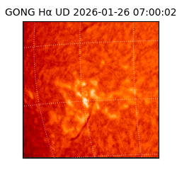 gong - 2026-01-26T07:00:02